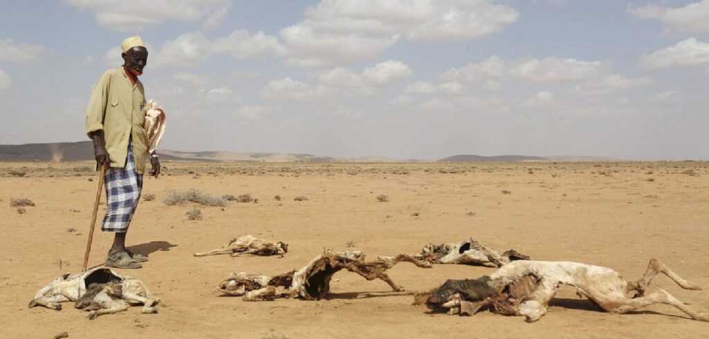Facing the Drought Crisis in Africa Challenges and Solutions